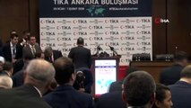 Cumhurbaşkanlığı Sözcüsü Kalın, TİKA Ankara Buluşması'nda konuştu