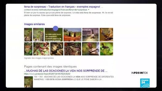Tineye L Alternative Pour Les Recherches D Image Inversee Video Dailymotion