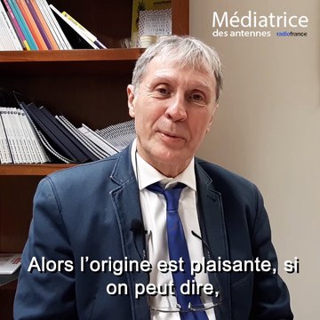 Gilet jaune , le sens du mot, Jean Pruvost