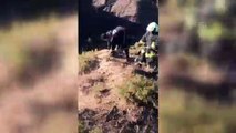 Kayalıklarda mahsur kalan keçiyi itfaiye kurtardı - DENİZLİ