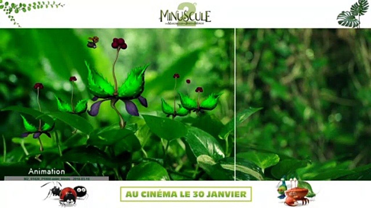 MINUSCULE 2 : LE MAKING-OF