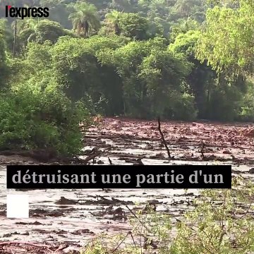 Brésil: la rupture d'un barrage minier fait au moins 58 morts et 305 disparus