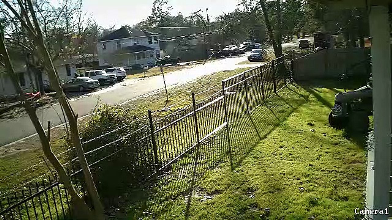 Chute d'un arbre en pleine route juste après le passage d'une voiture !