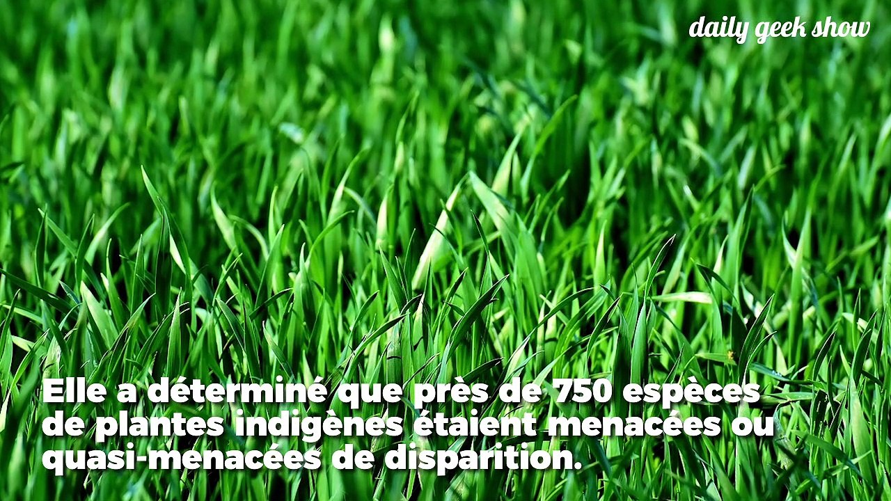 750 espèces de plantes sont en danger en France