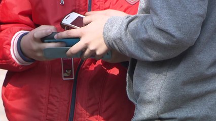 초등생, 성인용 영상물 이용 늘어...술 권유는 가족이 더 많아 / YTN