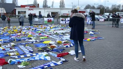 Emiliano Sala's family hire professional shipwreck hunter