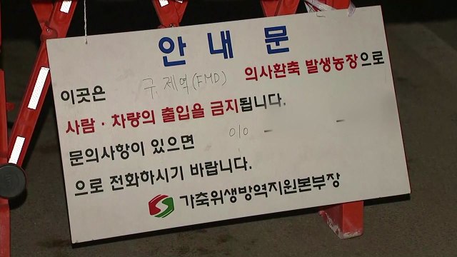 안성 젖소 농가 구제역 발생...설 앞두고 방역 비상 / YTN
