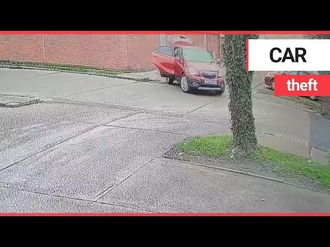 Car wash owners hunt brazen thief who stole SUV | SWNS TV