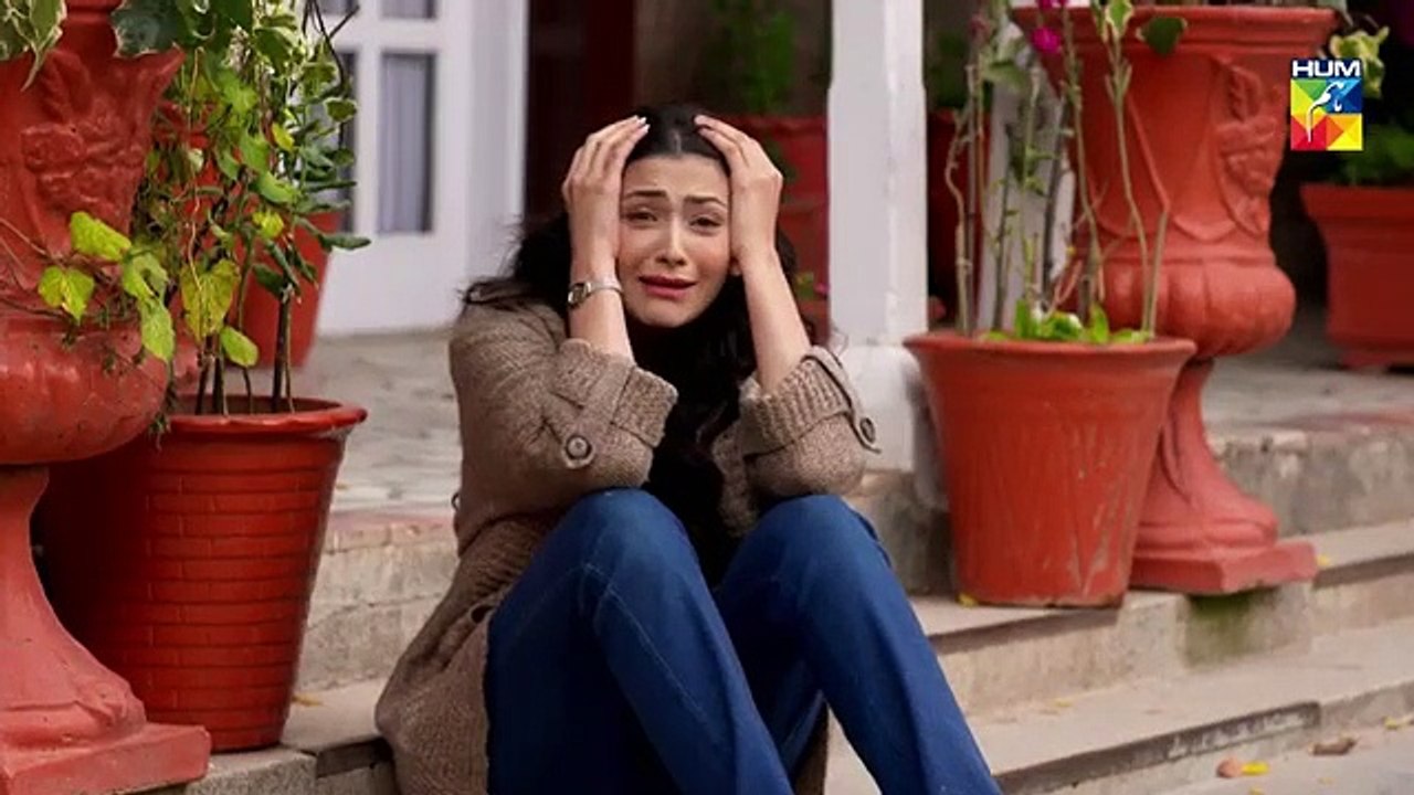 Aatish Epi 24 HUM TV Drama 28 January 2019