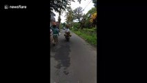 Motorcycling supermum in Bali carries groceries on her head and 4 gas cylinders