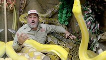 Jay Brewer Wants A Fan To Hang Out With His Snake Pals — Joins RTM