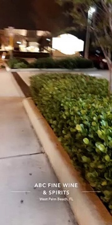 Impatient Pooch Honks Horn for Owner