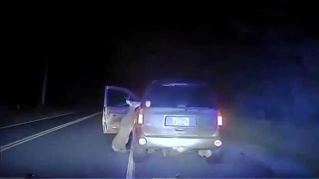 Croiser un automobiliste qui se bat avec un élan en pleine nuit.... Un peu bizarre