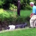 Ce papy veut attraper un crocodile mais se rate complètement