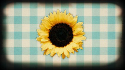 Neil Diamond - Sunflower