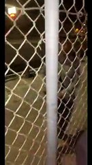 Police Detain Man Wielding Knife