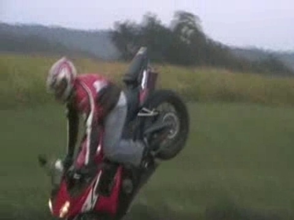Endo clip
