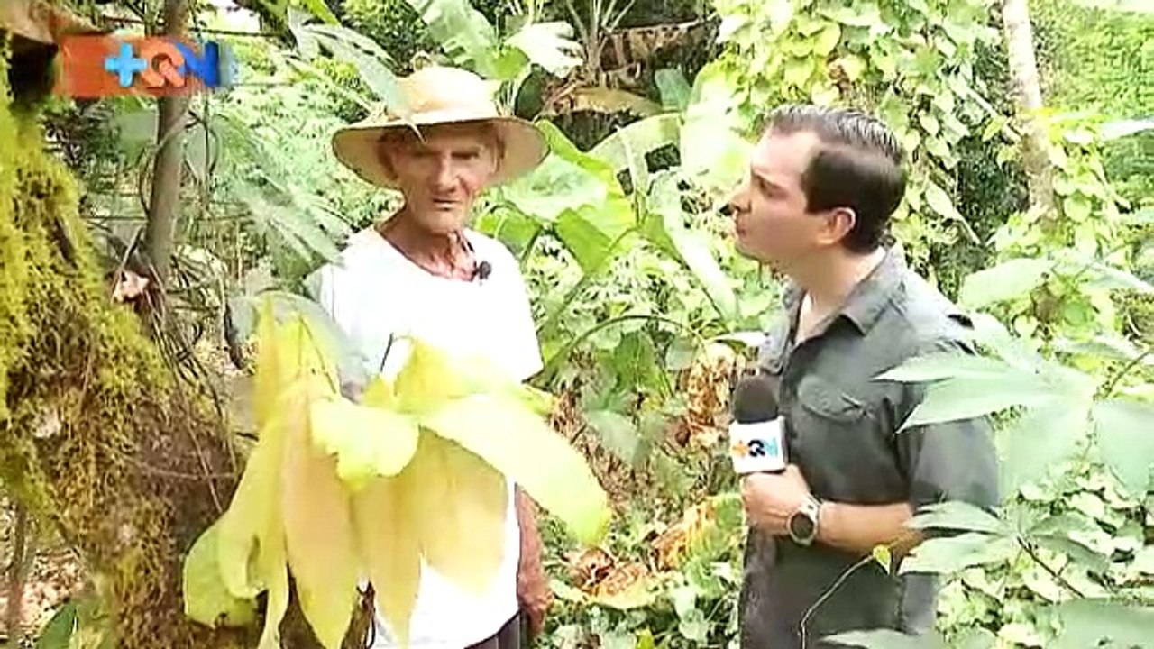 don albino espera que las fuerzas le alcancen para construir una nueva casita  qn-don-albino-espera-que-las-fuerzas-le-alcancen-para-construir-una-nueva-casita-280119