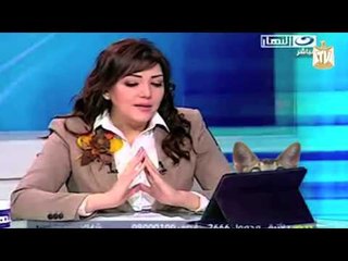 Fotoshop   فوتوشوب قطط