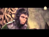 Enta Anboba - أنت أنبوبة | لماذا يحب مرسى فيلم كوكب القرود