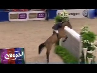 إخترنا لك الحصان الذي كسر الأرقام العالمية