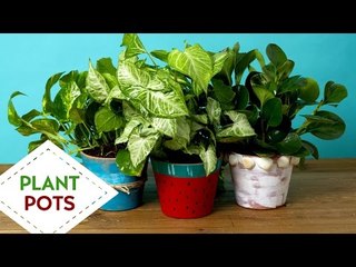 DIY - 3 Way Funky Plant Pots
