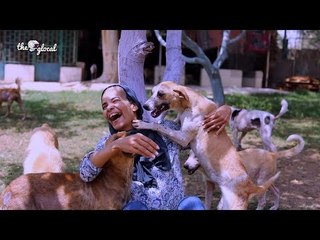 اعرف قصة هالة أم الحيوانات: عاشت عشان تنقذ حيوانات الشارع وتعالجهم في بيتها بدون مقابل