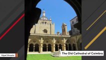 Mysterious Black Fungus Threatens 800-Year-Old Portuguese Cathedral