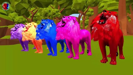 Lion Finger Lion Finger Where Are You Song For Kids ## || finger family rhymes