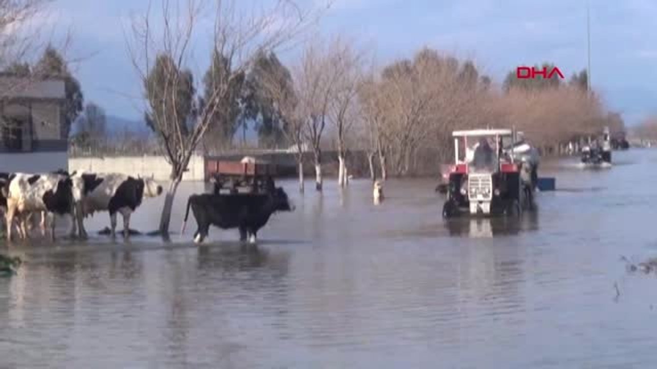 Aydın Büyük Menderes Nehri Taştı, 40 Bin Dönüm Tarım Arazi Sular Altında Kaldı
