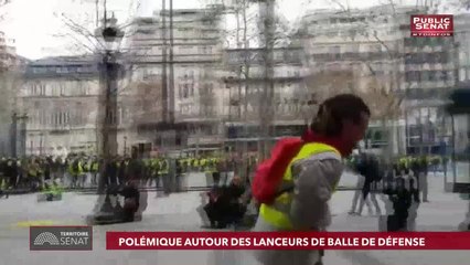 Tour d'horizon de l'actualité du Sénat et de l'actualité du jour. - Territoire Sénat (29/01/2019)