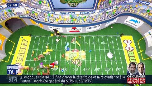 Froid polaire aux Etats-Unis