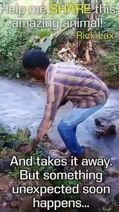 COBRA RESCUE DOESN’T GO AS PLANNED