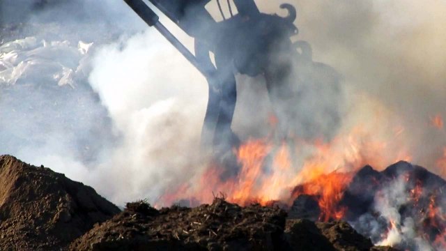 설 앞두고 구제역 발생...방역 당국 비상 / YTN