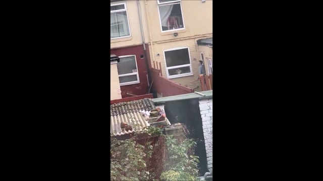 La vidéo de cette dispute ridicule entre deux voisins armés de planche de bois est à mourir de rire