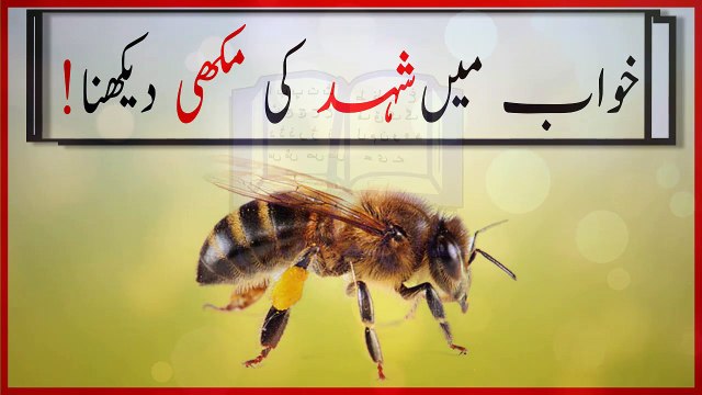 khwabon ki tabeer in urdu - khwab mein shehad ki makhi dekhne ki tabeer