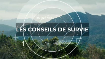 Les conseils de survie de Rémi Camus
