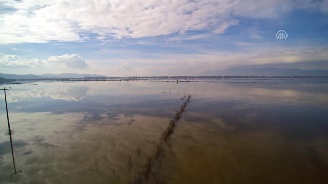 Büyük Menderes Nehri Taştı, Ekili Alanlar Su Altına Kaldı