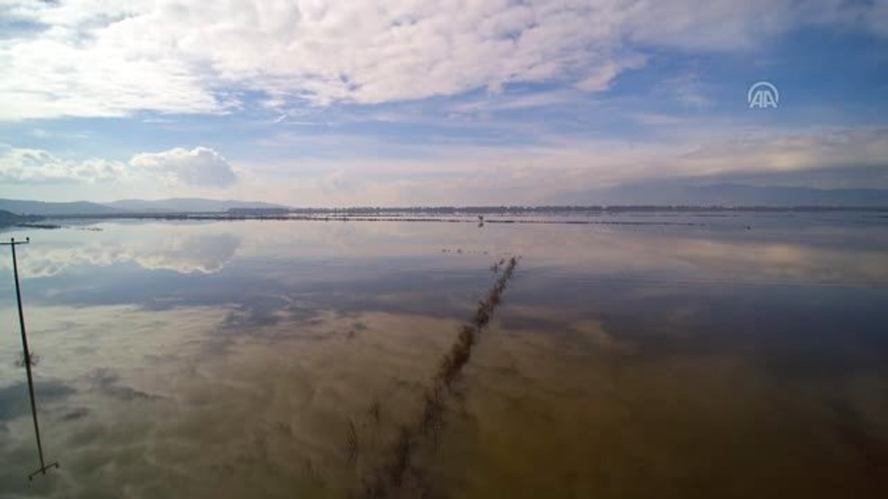 Büyük Menderes Nehri Taştı, Ekili Alanlar Su Altına Kaldı
