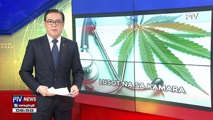 Ligal na paggamit ng medical marijuana, lusot na sa Kamara