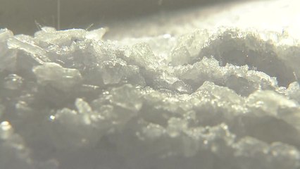 마약 청정국 '옛말'...동남아 마약조직 급증 / YTN