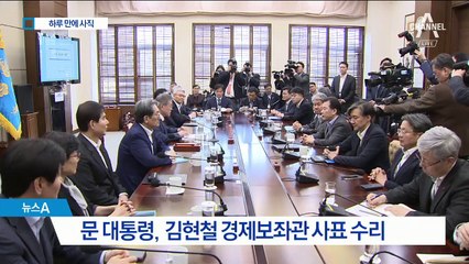 “아세안으로 가라” 김현철 보좌관 하루 만에 사의