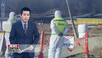 Another FMD outbreak suspected just one day after disease was confirmed