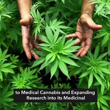 House passes bill legalizing medical marijuana