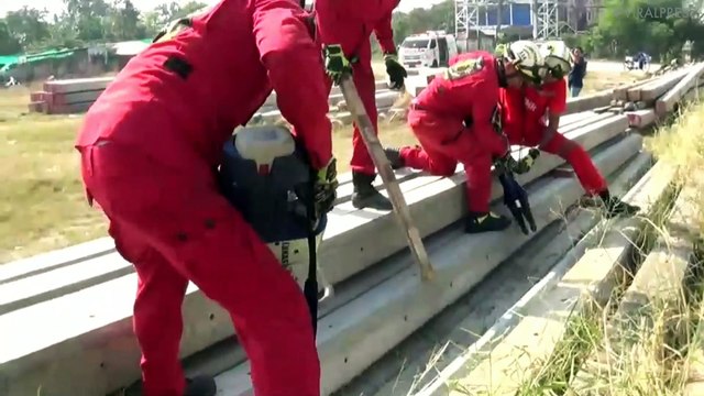 Four Puppies Rescued After Two Days Trapped