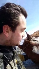 Des pompiers sauvent un cheval envasé à La Faute-sur-Mer avec un hélicoptère et un tracteur