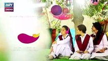Saheliyaan Episode 185 & 186 - on ARY Zindagi in High Quality 29th January 2019