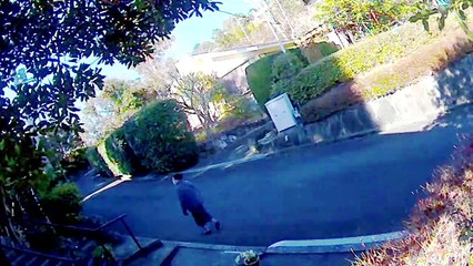 EDR January #29 2019 Noise Campaign