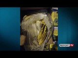 Report Tv-AKU bllokon 41.7 ton banane të prishura, erdhën nga Kosta Rika