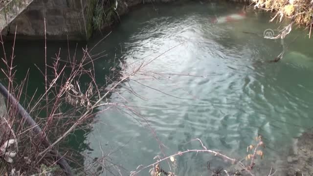 Hastaneye Giderken Kaza Yapan Sürücü Öldü - Bartın